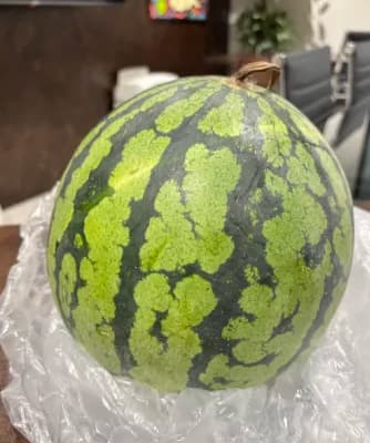 美味しいスイカ🍉✨