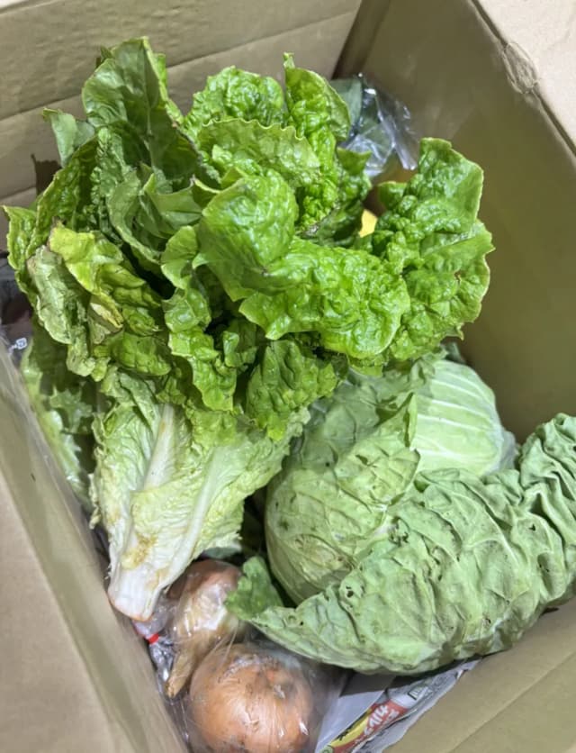 もらったお野菜でそれぞれの食卓へ🥬