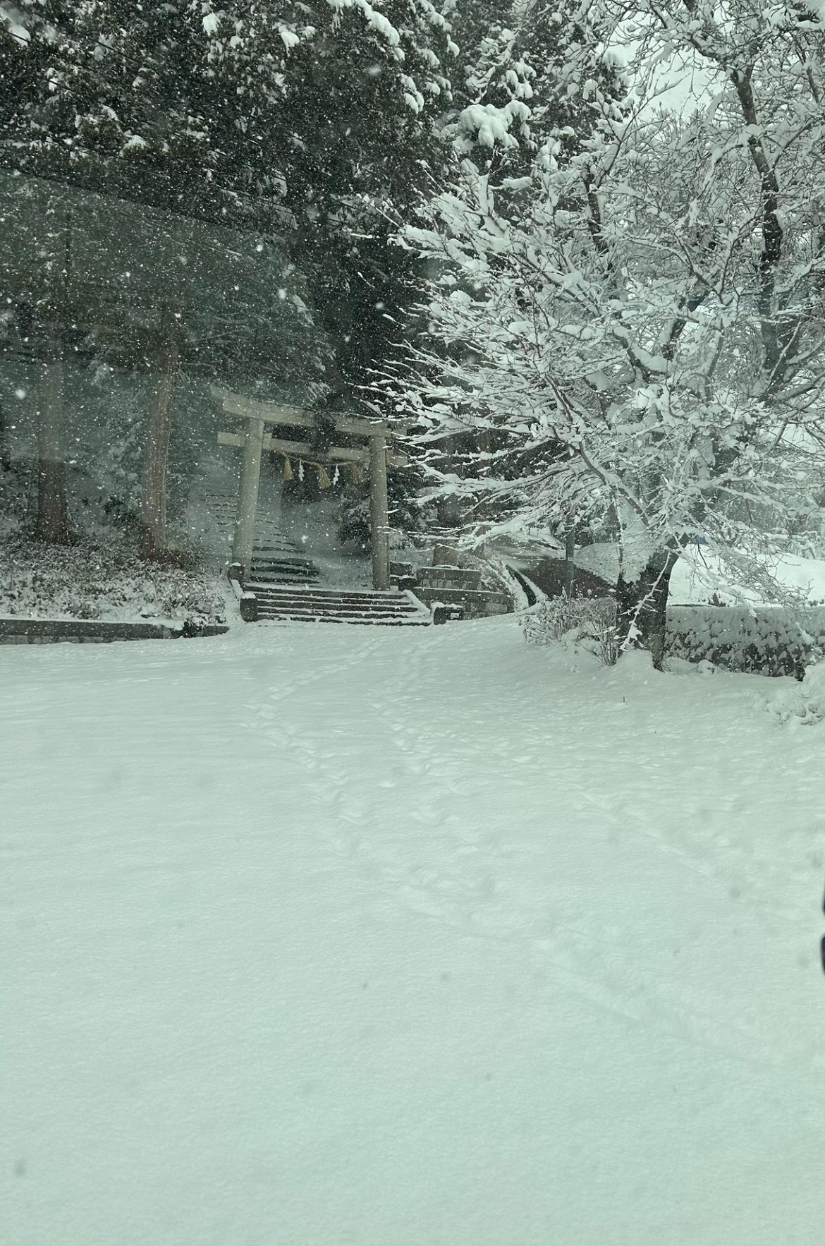 雪が降ってもオフィスは賑やか！寒波の日常