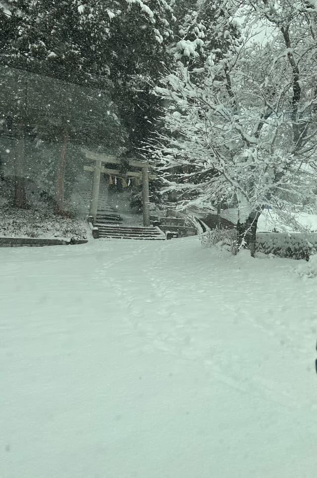 雪が降ってもオフィスは賑やか！寒波の日常