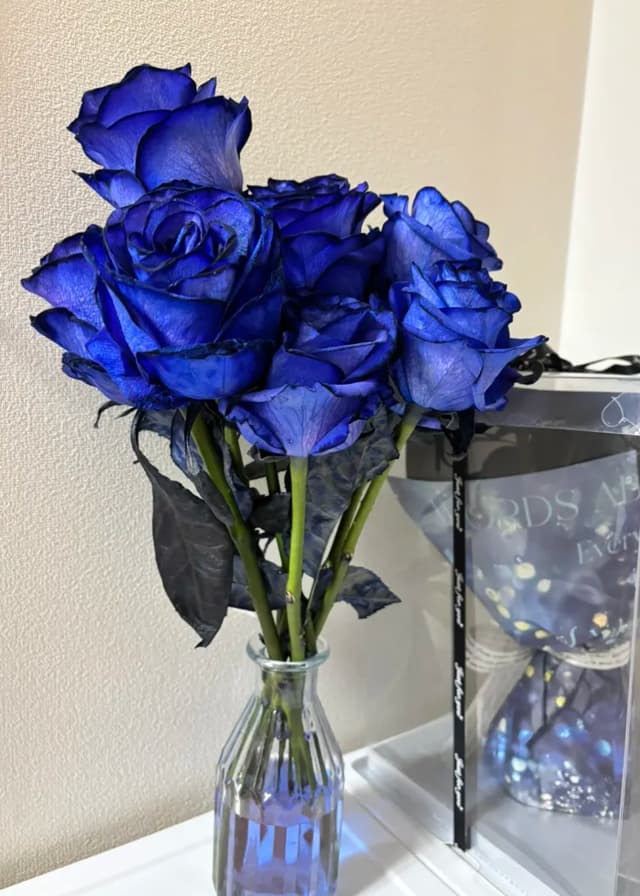 青いバラに感激！ 社長が花束を持って登場！