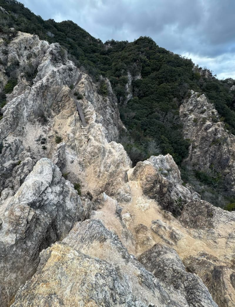 意外なメンバーで山登り！