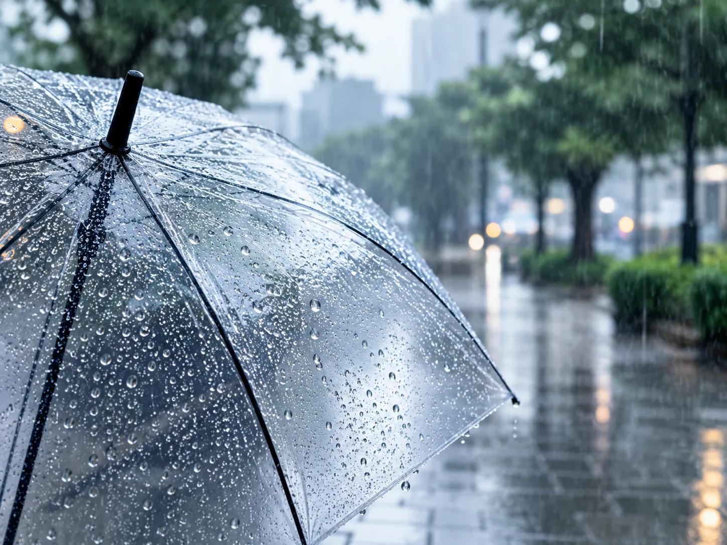 雨雨雨雨☔続きの週