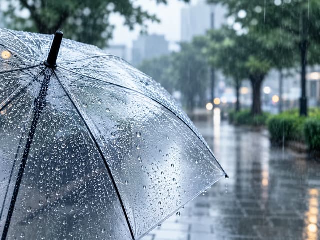 雨雨雨雨☔続きの週