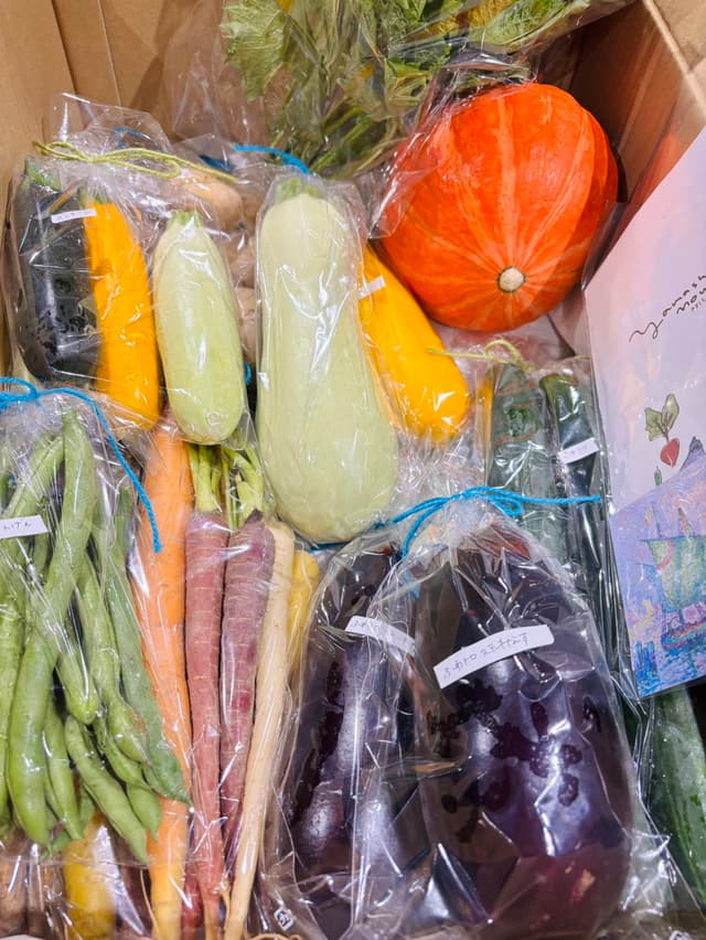 夏野菜で元気になりましょう🫑🍆🥕