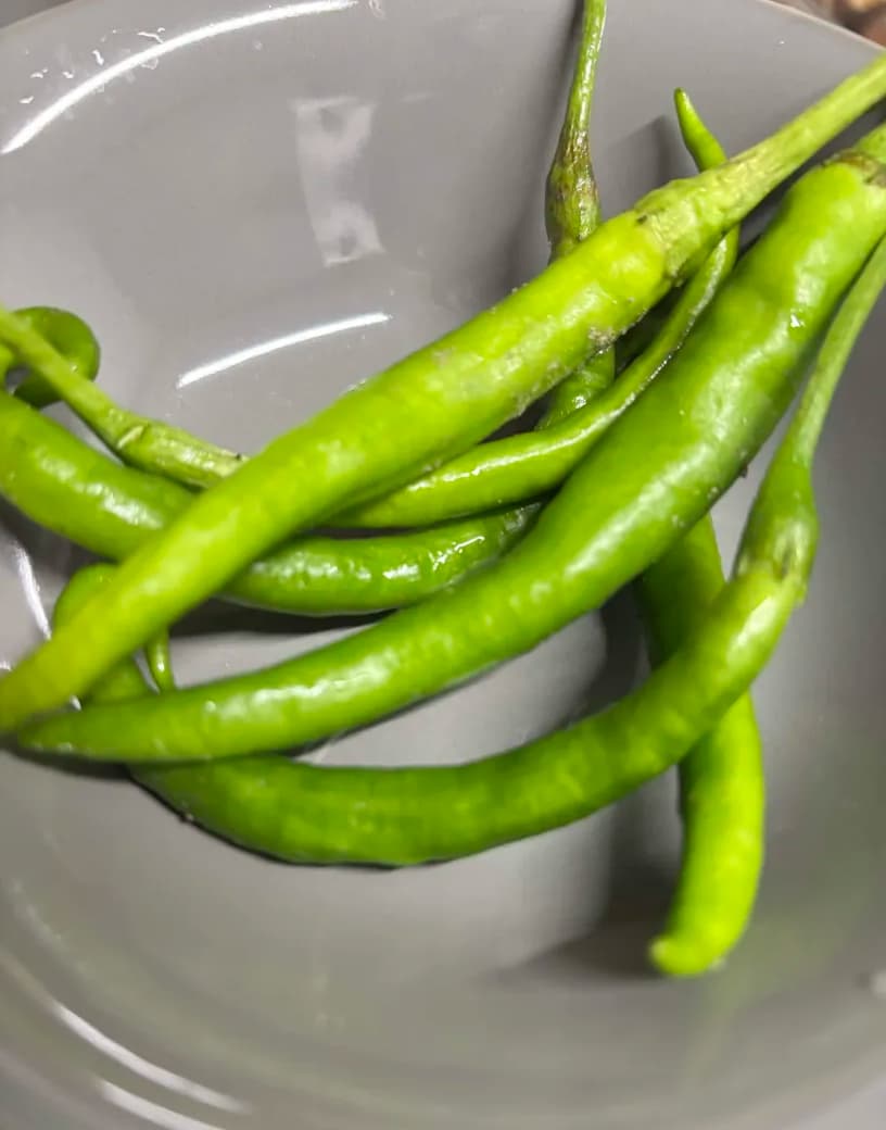 甘長とうがらしの罠🌶️🫑